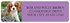 Cavalier King Charles Spaniel Address Labels Image 3